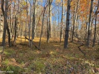 LOT 662 Laurel Farwell, MI 48622