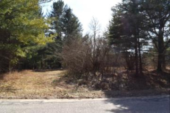 LOT 13 Queens Way Gladwin, MI 48624