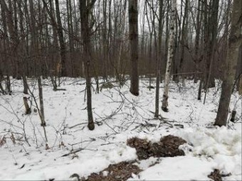 LOT 1284 Red Fox Run Farwell, MI 48622