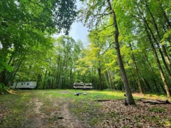 LOTS 1317-1318 Spruce Hill Farwell, MI 48622