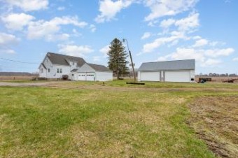 9690 Buck Freeland, MI 48623