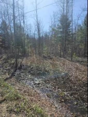 LOT 1,2,3,4 Southwood Harrison, MI 48625