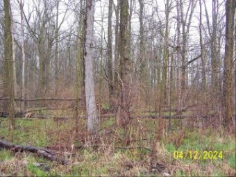 LOT A Masters Memphis, MI 48041