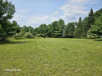 Lot 354 Bye Way Gladwin, MI 48624