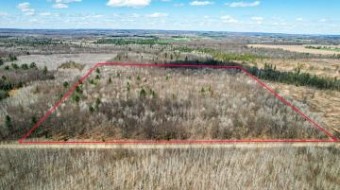 40 Acres Drummond Gladwin, MI 48624