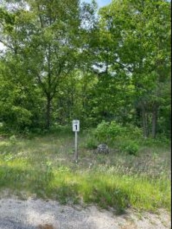 LOT 1 Renaissance Park Manistee, MI 49660