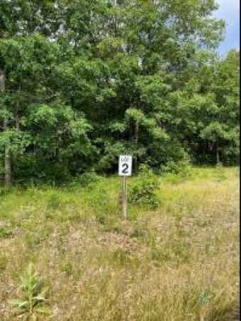 LOT 2 Renaissance Park Manistee, MI 49660