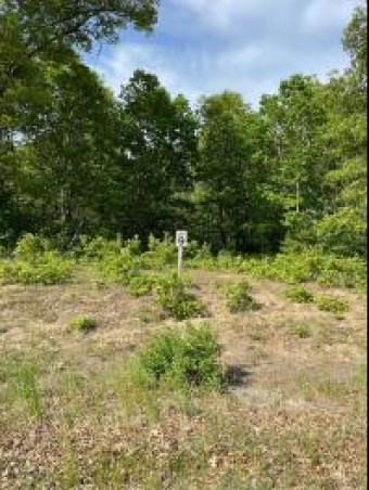 LOT 9 Renaissance Manistee, MI 49660