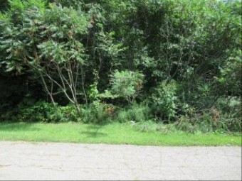 TRACT 3 Deep Woods Drive Cassopolis, MI 49031