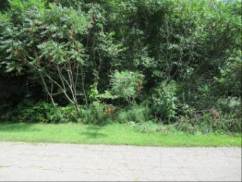 TRACT 3 Deep Woods Drive Cassopolis, MI 49031