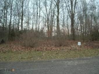 0 Valley View Drive LOT 11 Niles, MI 49120