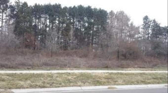 2450 Ulrich Street LOT 82 Stevensville, MI 49127