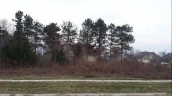 2467 Ulrich Street LOT 65 Stevensville, MI 49127