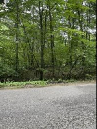 LOT 597 Hickory Drive Lakeview, MI 48850