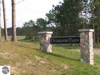 LOT #9 S Meadow Drive Cadillac, MI 49601