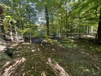 LOT 55 Creekwood Drive South Haven, MI 49090