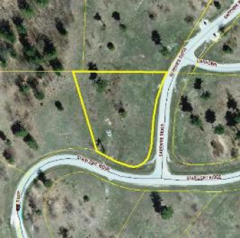 LOT 58 Starlight Ridge Circle Onekama, MI 49675