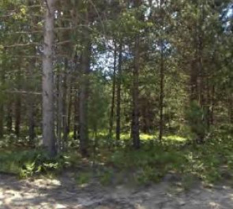 Bergstrom Drive Kaleva, MI 49645