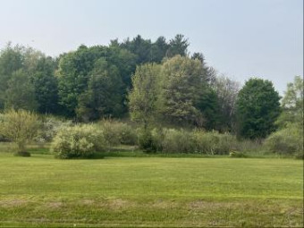 2  ACRES W Buchanan Road Shelby, MI 49455