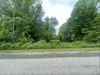 LOT 420 Lakeside Drive Perrinton, MI 48871