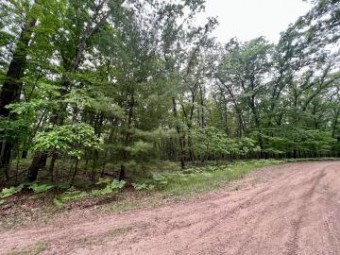 Trail Of Lakes Baldwin, MI 49304