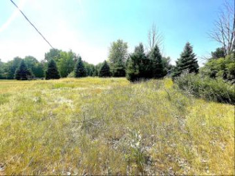 1434 Derby Road PARCEL 8 Stanton, MI 48888