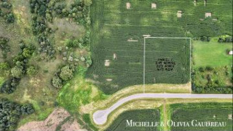 VL Gibson Farms Drive PARCEL 1 Middleville, MI 49333