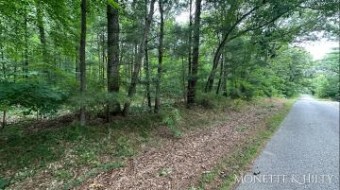 0 E Michillinda Road PARCEL A Twin Lake, MI 49457