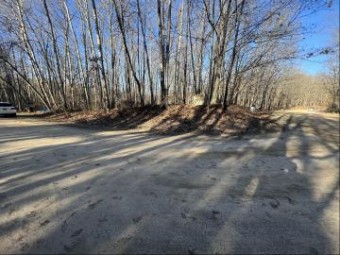 LOT 681 Elm Dr Farwell, MI 48622