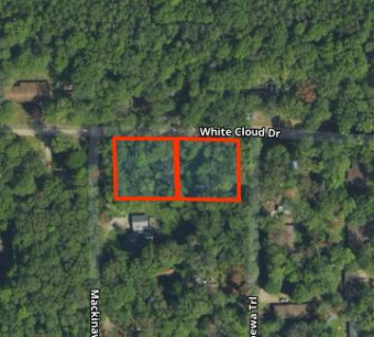 LOT 224,225,226 & 227 White Cloud Drive Howard City, MI 49329