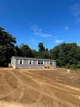 624 Paepke Road Pierson, MI 49339