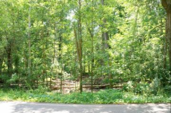 LOT 2 Leora Lane Jackson, MI 49201