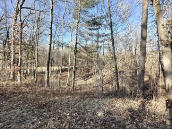 LOT 1 V/L W Fremont Street Newaygo, MI 49337