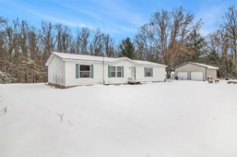 48 N Locust Avenue White Cloud, MI 49349