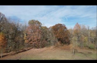 15678 Locke Road PARCEL 2 LOT Union Pier, MI 49129