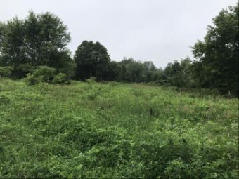 LOT B Hidden Creek Trail Saugatuck, MI 49453