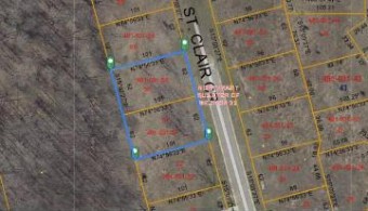 57-58 St Clair Circle LOTS 57-58 Brooklyn, MI 49230