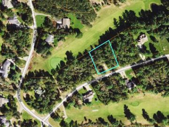 LOT 30 White Pine Drive Cadillac, MI 49601