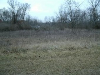 0 Drew Drive LOT 23 Niles, MI 49120