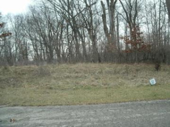 0 Drew Drive LOT 26 Niles, MI 49120