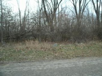 0 Drew Drive LOT 29 Niles, MI 49120