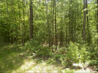 LOT #48 Bramblewood Dr. Cadillac, MI 49601