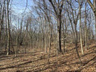 10.8 Acres Doster Road Plainwell, MI 49080