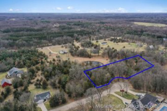 Sun Ridge Court PARCEL 2 Middleville, MI 49333