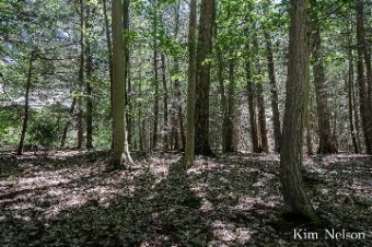 0 Oak Tree Lane LOT 20 Whitehall, MI 49461