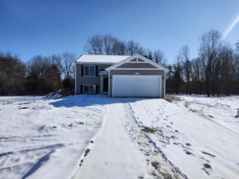 7762 Sierra Drive Belding, MI 48809