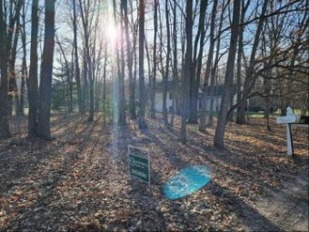 LOT 60 Seminole Drive Howard City, MI 49329