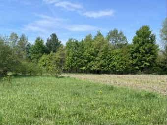 4520 22 Mile Road Ne PARCEL 2 Sand Lake, MI 49343