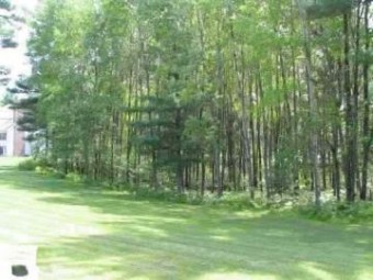 0 White Pine Drive LOT 63 Cadillac, MI 49601