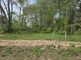 9447 Bluff Ridge Drive LOT 190 Zeeland, MI 49464